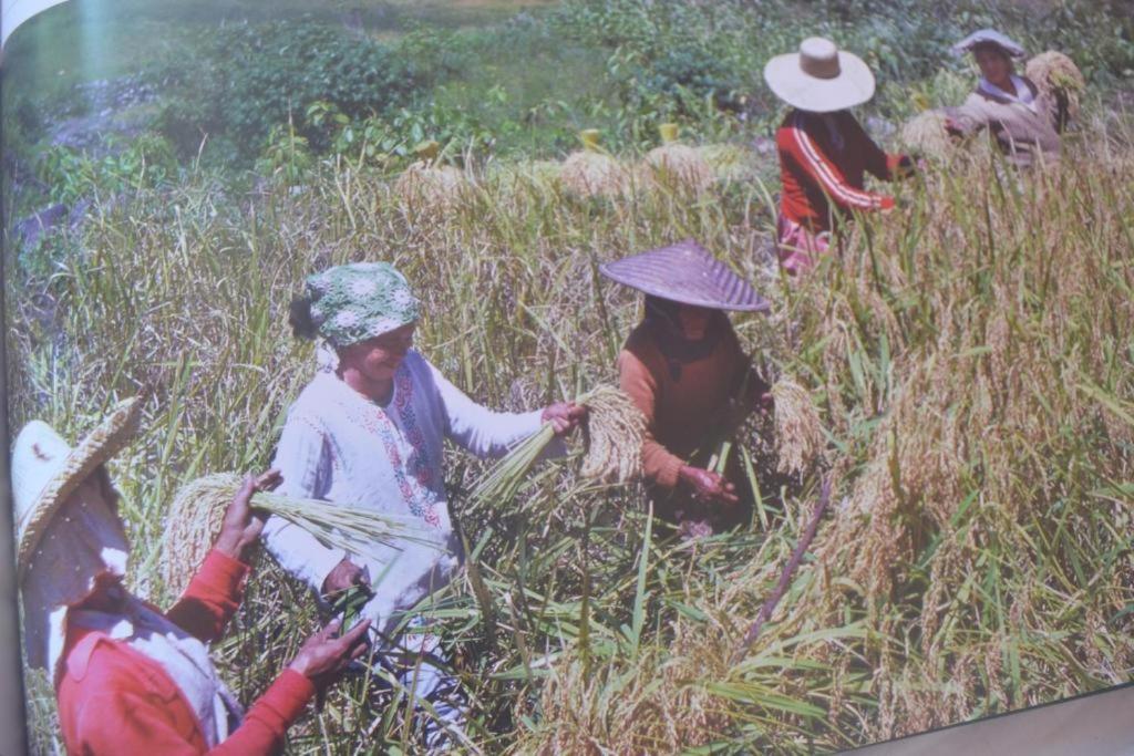 Banaue Evergreen Hostel And Restaurant ภายนอก รูปภาพ